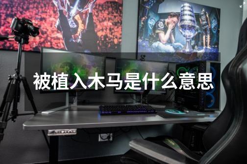 被植入木马是什么意思-第1张-游戏信息-龙启网
