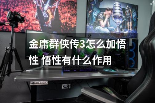 金庸群侠传3怎么加悟性 悟性有什么作用-第1张-游戏信息-龙启网