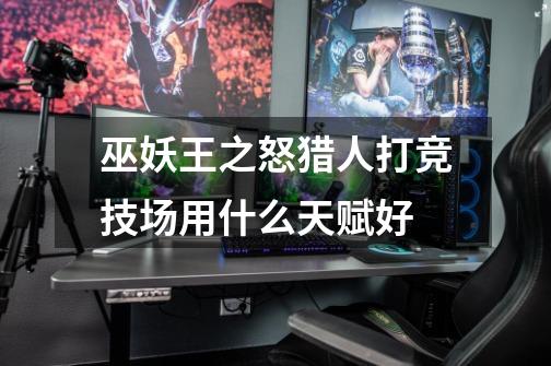 巫妖王之怒猎人打竞技场用什么天赋好-第1张-游戏信息-龙启网