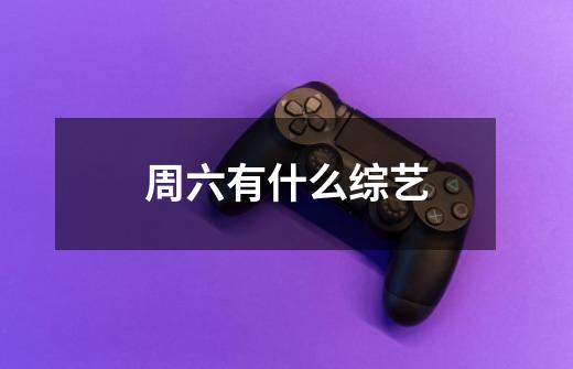 周六有什么综艺-第1张-游戏信息-龙启网