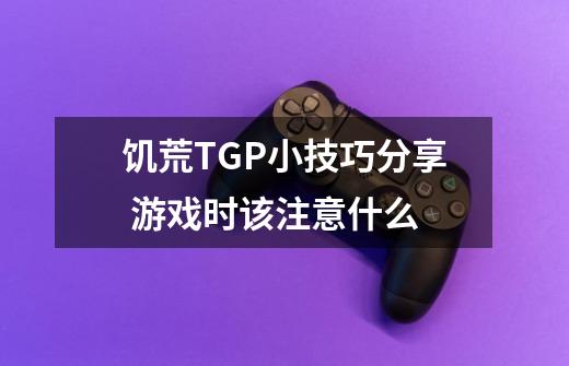饥荒TGP小技巧分享 游戏时该注意什么-第1张-游戏信息-龙启网