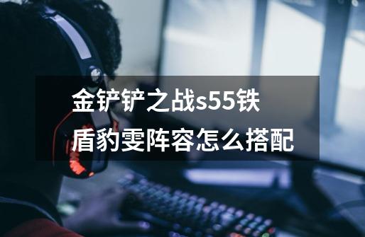 金铲铲之战s5.5铁盾豹雯阵容怎么搭配-第1张-游戏信息-龙启网