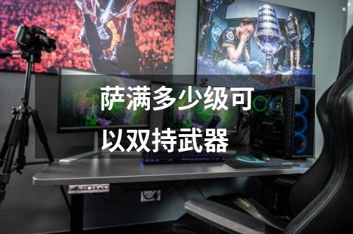 萨满多少级可以双持武器-第1张-游戏信息-龙启网