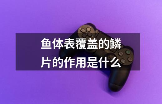 鱼体表覆盖的鳞片的作用是什么-第1张-游戏信息-龙启网