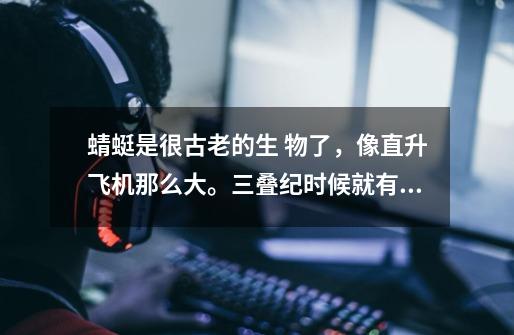 蜻蜓是很古老的生 物了,像直升飞机那么大。三叠纪时候就有了。为什么现在变小了呢-第1张-游戏信息-龙启网