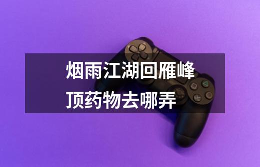 烟雨江湖回雁峰顶药物去哪弄-第1张-游戏信息-龙启网