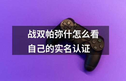 战双帕弥什怎么看自己的实名认证-第1张-游戏信息-龙启网