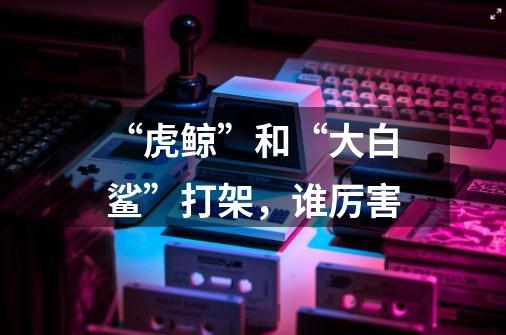 “虎鲸”和“大白鲨”打架,谁厉害-第1张-游戏信息-龙启网