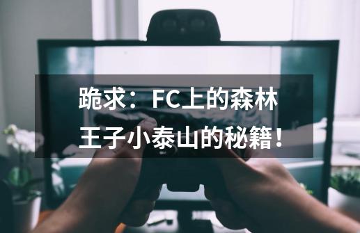跪求：FC上的森林王子小泰山的秘籍！-第1张-游戏信息-龙启网