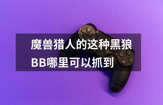 魔兽猎人的这种黑狼BB哪里可以抓到-第1张-游戏信息-龙启网