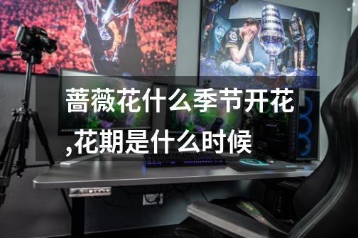 蔷薇花什么季节开花,花期是什么时候-第1张-游戏信息-龙启网