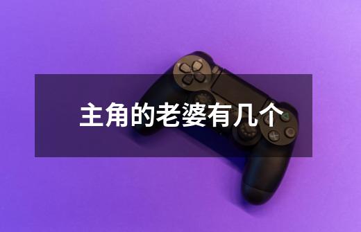 主角的老婆有几个-第1张-游戏信息-龙启网