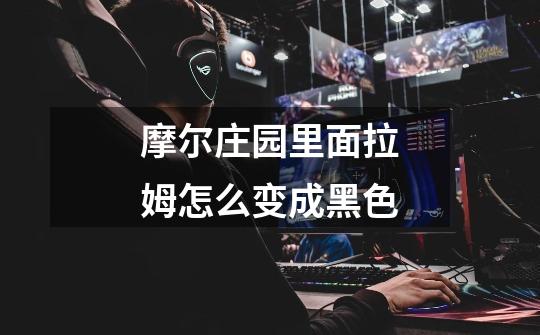 摩尔庄园里面拉姆怎么变成黑色-第1张-游戏信息-龙启网