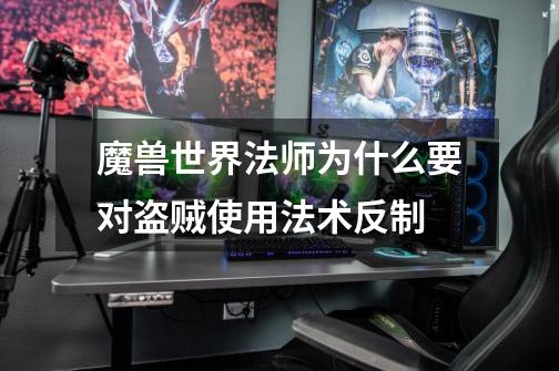魔兽世界法师为什么要对盗贼使用法术反制-第1张-游戏信息-龙启网