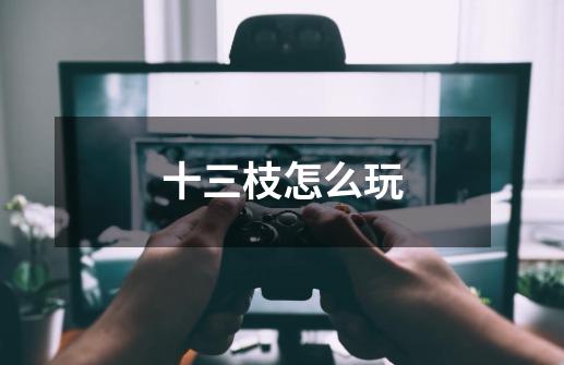 十三枝怎么玩-第1张-游戏信息-龙启网