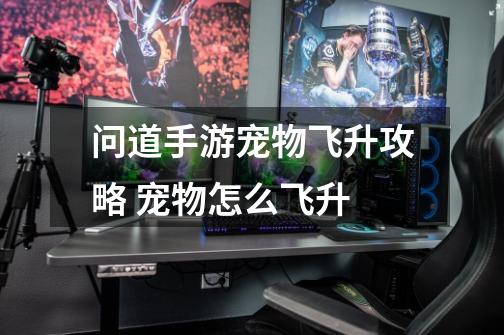 问道手游宠物飞升攻略 宠物怎么飞升-第1张-游戏信息-龙启网