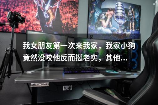 我女朋友第一次来我家，我家小狗竟然没咬他反而挺老实，其他人最起码都旺旺叫，难道小狗能识别荷尔蒙-第1张-游戏信息-龙启网