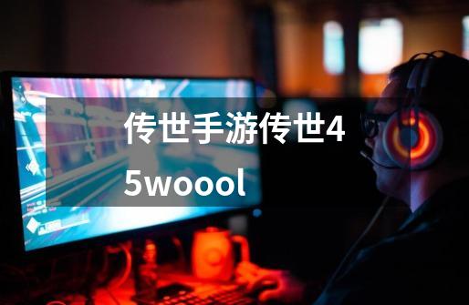 传世手游传世45woool-第1张-游戏信息-龙启网
