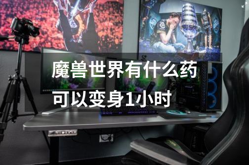 魔兽世界有什么药可以变身1小时-第1张-游戏信息-龙启网