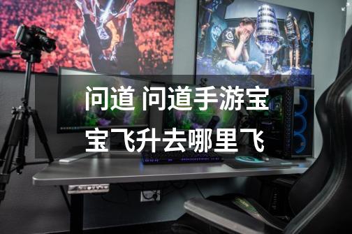 问道 问道手游宝宝飞升去哪里飞-第1张-游戏信息-龙启网
