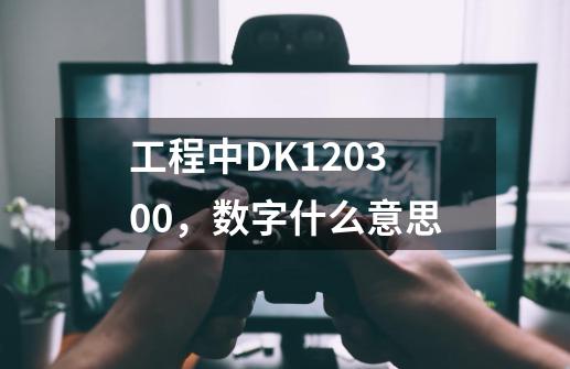 工程中DK120+300，数字什么意思-第1张-游戏信息-龙启网