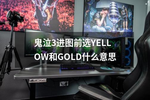 鬼泣3进图前选YELLOW和GOLD什么意思-第1张-游戏信息-龙启网