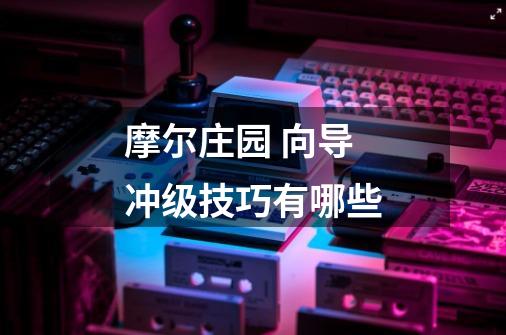 摩尔庄园 向导冲级技巧有哪些-第1张-游戏信息-龙启网