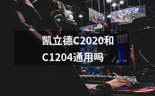凯立德C2020和C1204通用吗-第1张-游戏信息-龙启网