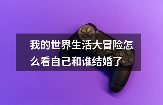 我的世界生活大冒险怎么看自己和谁结婚了-第1张-游戏信息-龙启网