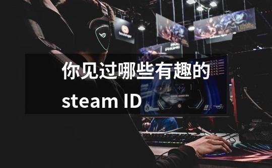 你见过哪些有趣的steam ID-第1张-游戏信息-龙启网