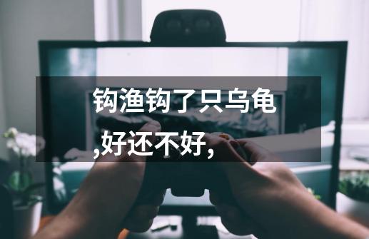 钩渔钩了只乌龟,好还不好,-第1张-游戏信息-龙启网