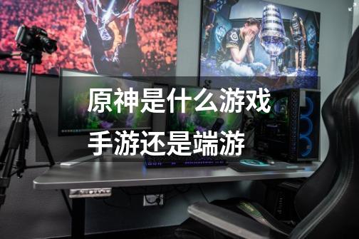 原神是什么游戏手游还是端游-第1张-游戏信息-龙启网