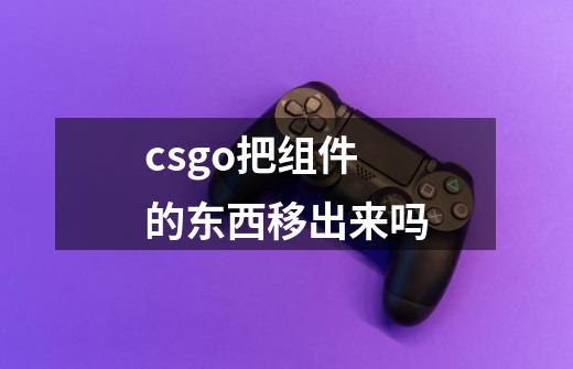 csgo把组件的东西移出来吗-第1张-游戏信息-龙启网