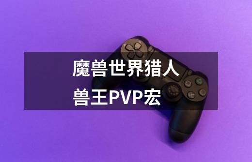 魔兽世界猎人兽王PVP宏-第1张-游戏信息-龙启网