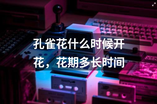 孔雀花什么时候开花,花期多长时间-第1张-游戏信息-龙启网