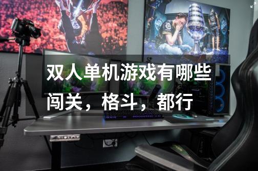 双人单机游戏有哪些闯关，格斗，都行-第1张-游戏信息-龙启网
