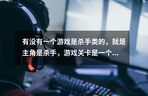 有没有一个游戏是杀手类的,就是主角是杀手,游戏关卡是一个个暗杀任务!!!-第1张-游戏信息-龙启网