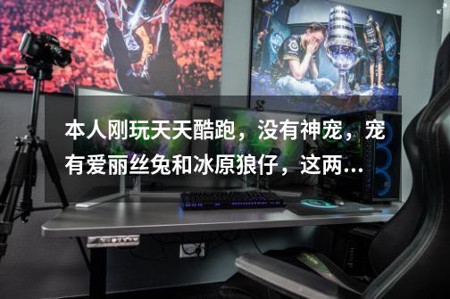 本人刚玩天天酷跑,没有神宠,宠有爱丽丝兔和冰原狼仔,这两个哪个多好-第1张-游戏信息-龙启网