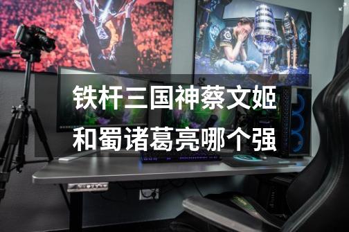 铁杆三国神蔡文姬和蜀诸葛亮哪个强-第1张-游戏信息-龙启网