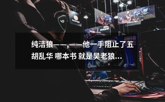 纯洁狼——,——他一手阻止了五胡乱华 哪本书 就是吴老狼 哪本书阻止了五胡乱华-第1张-游戏信息-龙启网