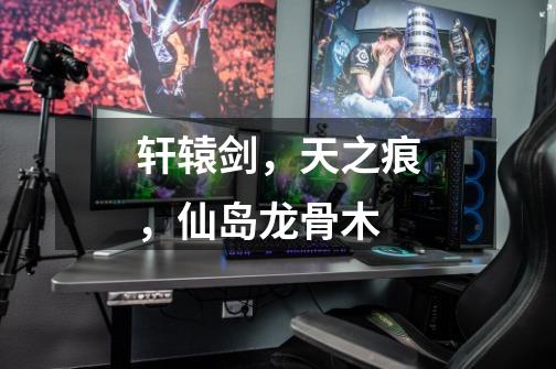 轩辕剑，天之痕，仙岛龙骨木-第1张-游戏信息-龙启网