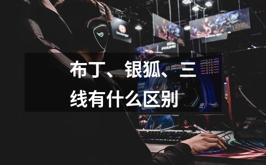 布丁、银狐、三线有什么区别-第1张-游戏信息-龙启网