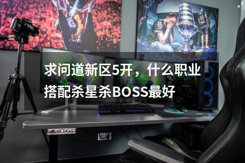 求问道新区5开,什么职业搭配杀星杀BOSS最好-第1张-游戏信息-龙启网