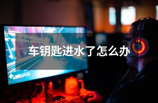 车钥匙进水了怎么办-第1张-游戏信息-龙启网