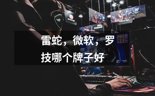 雷蛇,微软,罗技哪个牌子好-第1张-游戏信息-龙启网