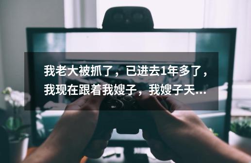 我老大被抓了,已进去1年多了,我现在跟着我嫂子,我嫂子天天在家吸毒,而我就坐在一旁观看他吸,为什么-第1张-游戏信息-龙启网