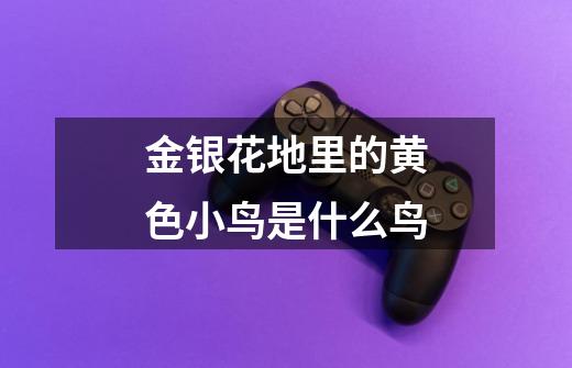 金银花地里的黄色小鸟是什么鸟-第1张-游戏信息-龙启网