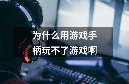 为什么用游戏手柄玩不了游戏啊-第1张-游戏信息-龙启网