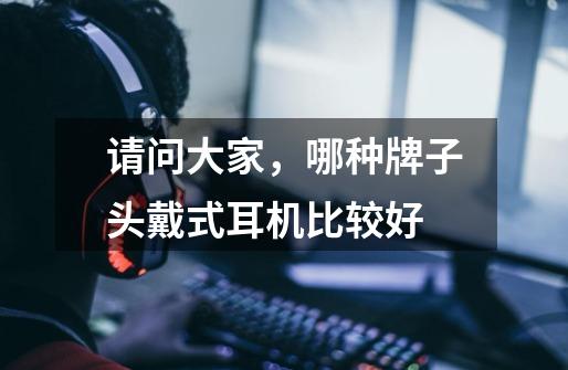 请问大家,哪种牌子头戴式耳机比较好-第1张-游戏信息-龙启网