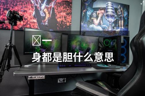 一身都是胆什么意思-第1张-游戏信息-龙启网